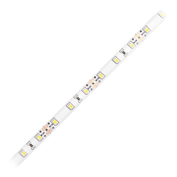 Taśma LED 12V 2835 60L/m 4,8W/m IP20 3000K 5m LD-9/5M/3 ORNO