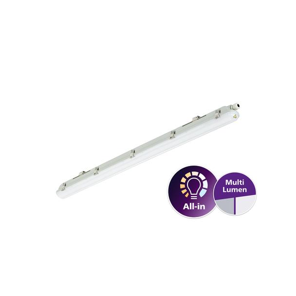 Oprawa hermetyczna Ledinaire WT065C 42/23W 2900/4800lm IP65 4000K barwa neutralna LED29_48S/ 840 PSU 9,11402E+11 PHILIPS