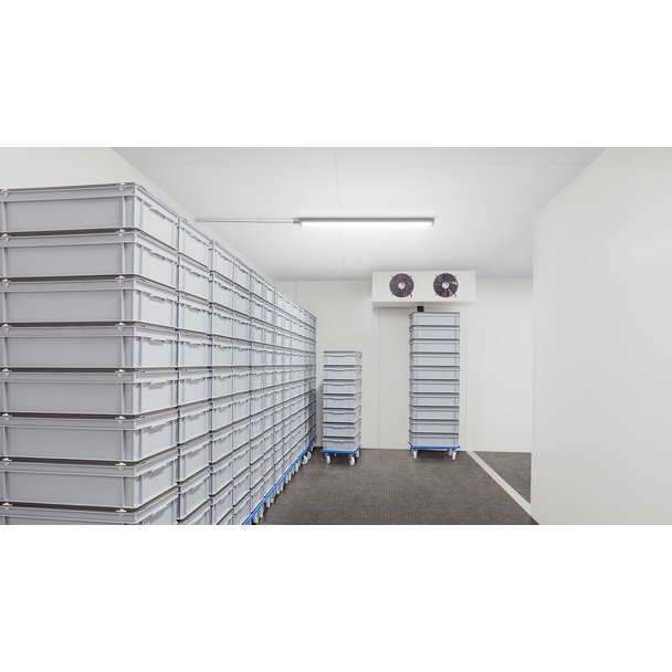 Oprawa hermetyczna Ledinaire WT060C przelotowa 28W 3400lm IP66 4000K barwa neutralna LED34S/ 840 PSU 9,11402E+11 PHILIPS