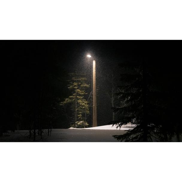 Oprawa uliczna STREETLIGHT FLEX SMALL 25W 730 RV25ST ALW