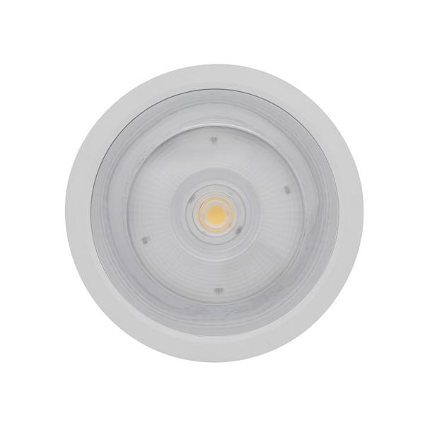 Oprawa DOWNLIGHT SURFACE DN 250 P 45W 830 60D IP65 WT