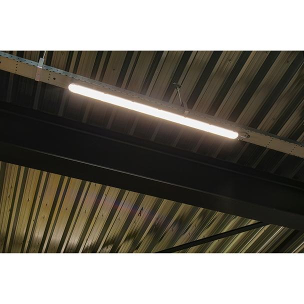 Oprawa DOWNLIGHT PFM DN155 14W 840 WT IP54 UGR19