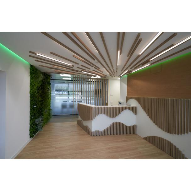 Pasek LED Performance P-1000/930/5