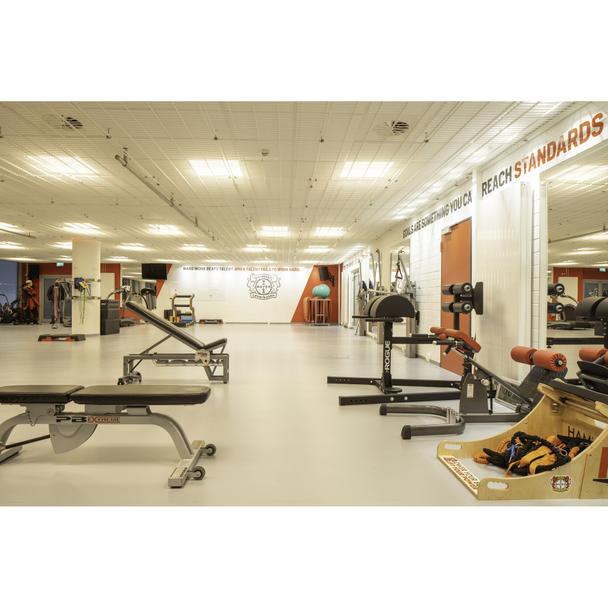 Pasek LED Performance LS PFM-1000/RGBW/840/5/IP66