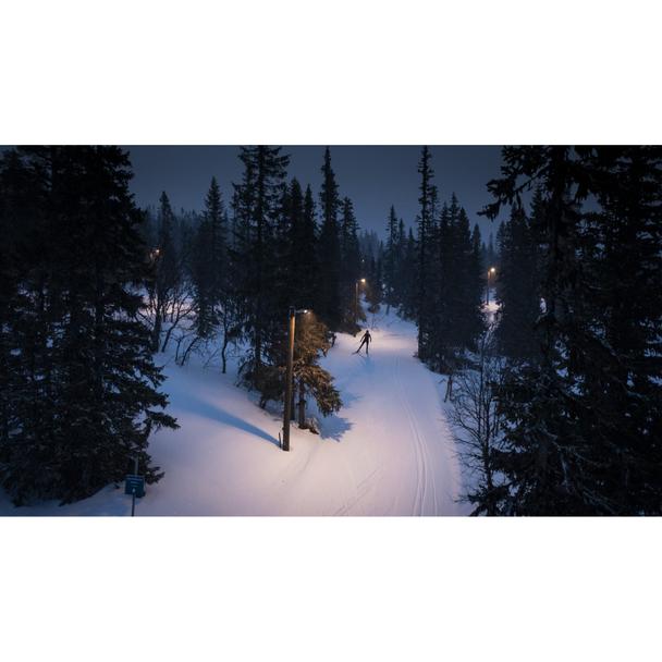 Oprawa uliczna STREETLIGHT FLEX SMALL 25W 730 RV25ST ALW