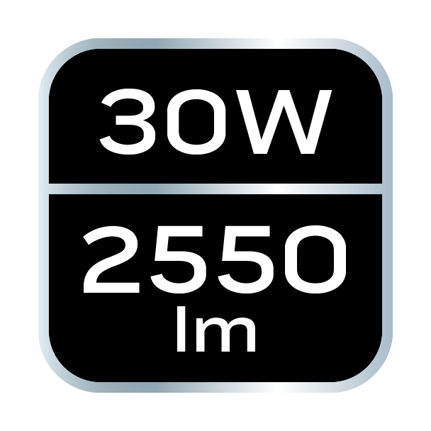 Halogen Naświetlacz LED 30W SMD 2700lm + statyw budowlany GTX 99-059 GTX Poland