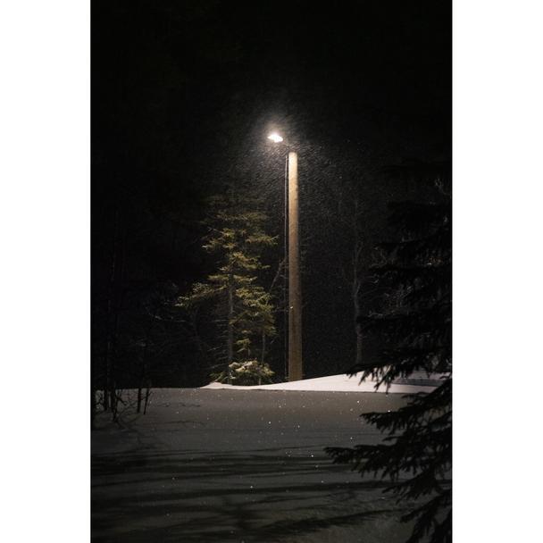 Oprawa uliczna STREETLIGHT FLEX SMALL 25W 730 RV25ST ALW