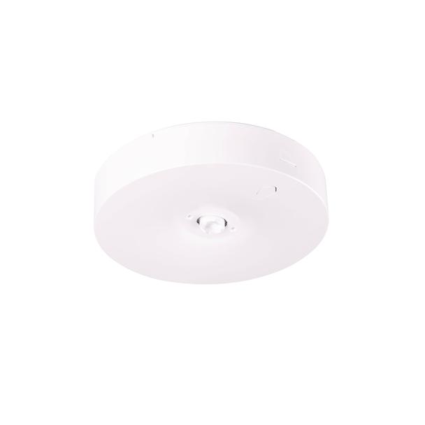 Oprawa sieciowo-awaryjna natynkowa Starlet Round LED SOH 350 CB IP20 / współpraca z centralną bateri 91730 INTELIGHT