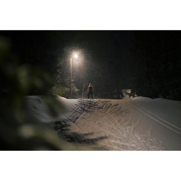 Oprawa uliczna STREETLIGHT FLEX SMALL 25W 730 RV25ST ALW