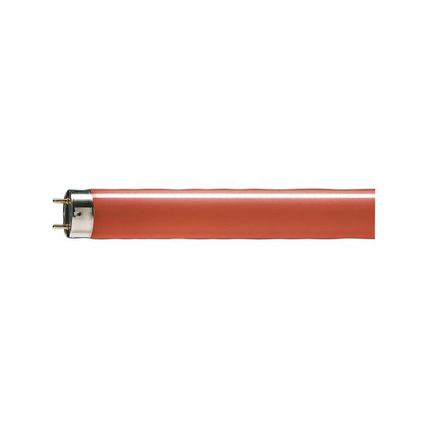 Świetlówka G13 36W/15 TLD czerwona 9,28049E+11 PHILIPS