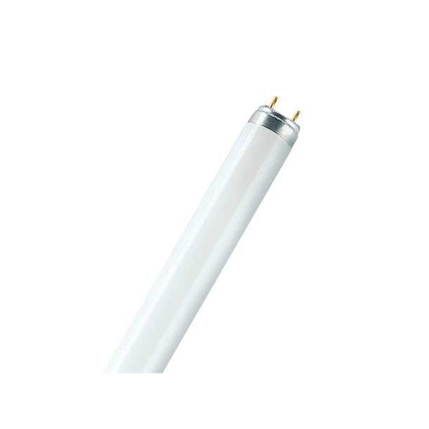 ST8P-0.6M 7,6W/865 220-240V EM