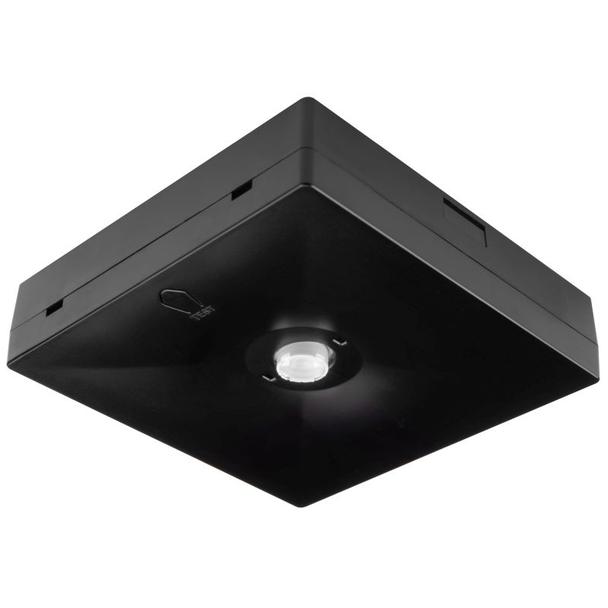 Oczko awaryjne N/T STARLET QUAD LED SOH 350 CB IP20 [BLK] 92920 INTELIGHT