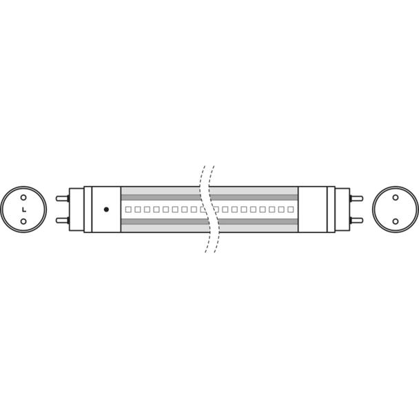 Tuba LED T8 ENTRY 1500mm 20W 865 220-240V EM