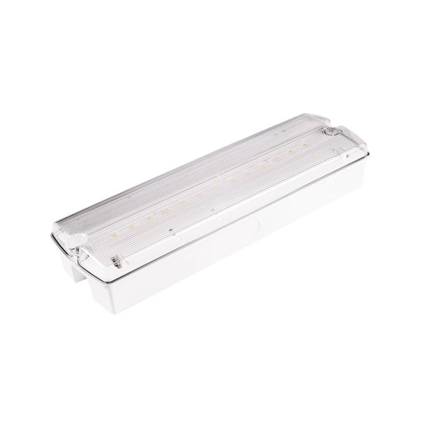 Oprawa ewakuacyjna/awaryjna ORION LED II 250 SA 3H AT LT + 91615 INTELIGHT