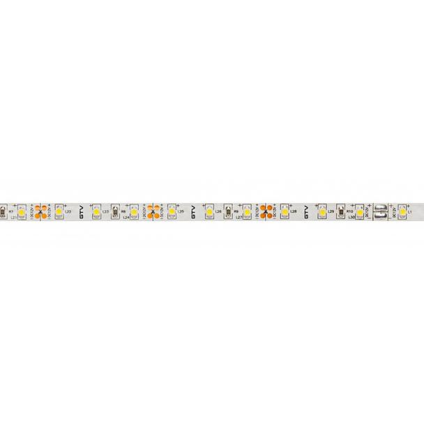 Taśma LED FLASH 3528 300 LED ciepły biały 24W IP20 bez żelu 8mm rolka 5m GTV LD-3528-300-20-CB GTV Poland