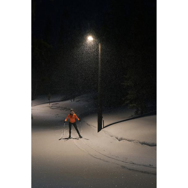 Oprawa uliczna STREETLIGHT FLEX SMALL 25W 730 RV25ST ALW