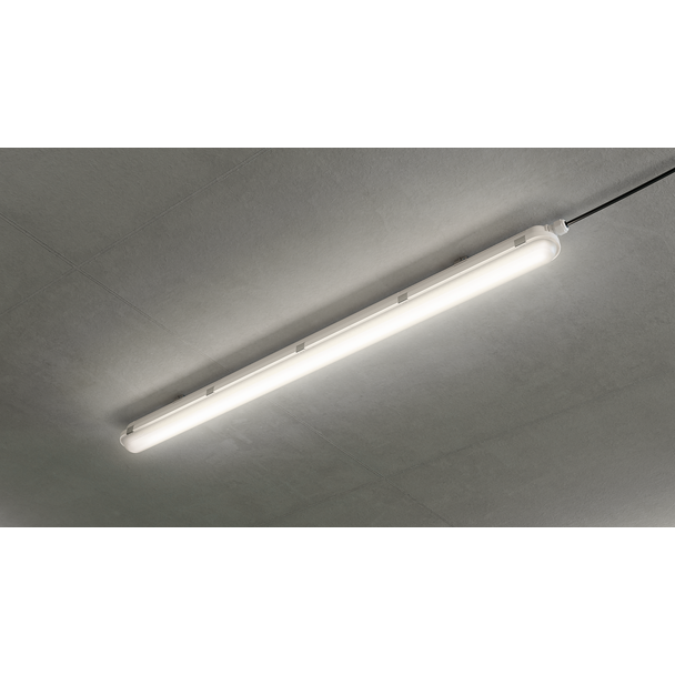 Oprawa hermetyczna Coreline WT120C G2 37,5W 6000lm IP65 4000K barwa neutralna ściemnialna LED60S/ 84 9,11402E+11 PHILIPS
