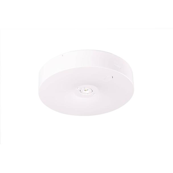 Oprawa sieciowo-awaryjna natynkowa Starlet Round LED SO 150 SA 1H CT IP20 / 230V 91984 INTELIGHT