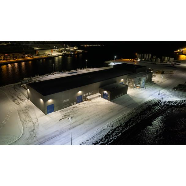 Naświetlacz FLOOD MAX LUM 600W 757 ASYM 50x110 WAL