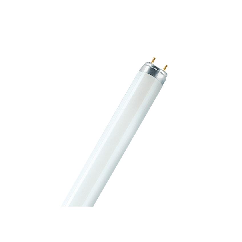 L 36W/77 FLH1 OSRAM