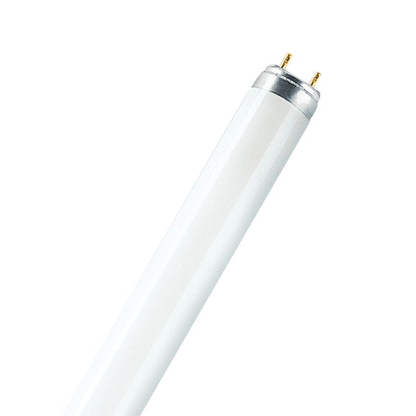 Świetlówka liniowa LUMILUX T8 36W 840